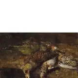 Arnaldo Ferraguti, Ferrara 1862 - Forli 1925 / Natura morta con uccelli / Firmato 'A Ferraguti' in alto a sinistra, oil on panel