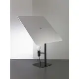 A Table Lamp By G. Sarfatti, Senza titolo