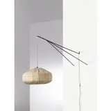 An Italian Wall Light, Senza titolo