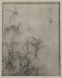 Untitled by Min Byung-Hun, Photograph Print, offered Jun 2024