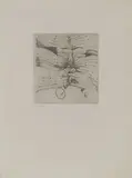 Untitled by Francisco Toledo, Etching, offered Nov 2023