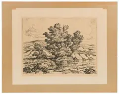 Brook with Cottonwood Trees by Birger Sandzén, Lithograph, offered Jul 2023
