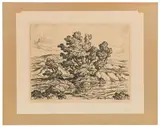 Birger Sandzén, Brook with Cottonwood Trees, Lithograph