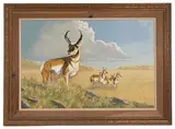 Peter Darro, Untitled, Oil on Canvas