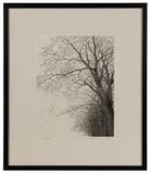 Ryohei Tanaka, Untitled, Etching