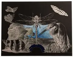 Snail, Dragonfly and Heron by Ellen Lanyon, Lithograph in Colors, offered Jul 2022