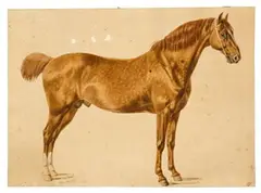 Benjamin Herring Jr, Fireaway, 4 Years Old, Watercolor