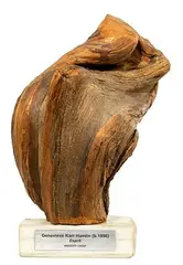 Esprit by Genevieve Karr Hamlin, Wood Sculpture, offered Nov 2021