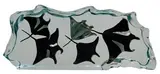 Robert Wyland, Manta Ray Waters
