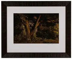 Wisner by Frank Relle, Photograph, offered Sep 2021