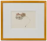 Skull and Leaf by John Wickenberg, Graphite and Watercolor on Paper, offered May 2021