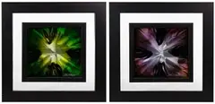 Mini Burst Purple' and 'Mini Burst Green by Chris DeRubeis, Mixed Media on Aluminum, offered May 2021