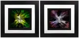 Chris DeRubeis, Mini Burst Purple' and 'Mini Burst Green, Mixed Media on Aluminum