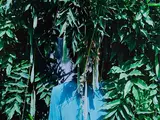 Wisteria by Zohra Opoku, Pigment Print, offered Nov 2020