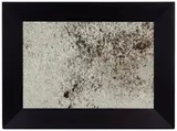 Domestic Abstraction by Tony Tasset, Sculpture, offered Aug 2020