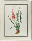 Rhinoceros Stock by Salvador Dalí, Lithograph, offered Aug 2019
