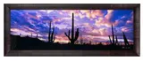 Peter Lik, Night Moods, Photograph