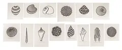 14 Shells by Jacques Hnizdovsky, Woodcut Suite, offered Jun 2025