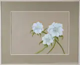 White Anemone by Mary Gary, Watercolor On Paper, offered Feb 2026