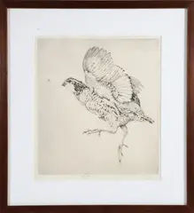 Grouse by Henry Emerson Tuttle, Engraving, offered Feb 2026