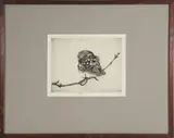 Henry Emerson Tuttle, Bird On A Branch, Engraving