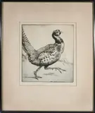 Running Pheasant by Emerson Tuttle Dry Point, circa 1932, Etching, offered Feb 2026