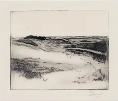 David Lazarus, Nantucket Dunes, Etching