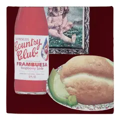 Lucia Hierro, Pan Con Aguacate y Refresco Rojo, 2021, digital print on brushed suede, felt and foam