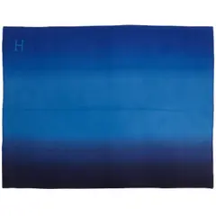 Blanket by Hermès, sold Jul 2025