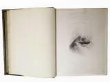 Peter De Wint, Sicilian Scenery, from drawings by P. De Wint. The original sketches by Major Light