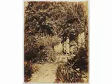 Wilhelm von Gloeden, Taormina Giardino di Casa Gloeden, 1910 circa