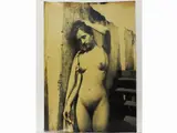 Wilhelm von Gloeden, Napoli Nudo femminile, 1890 circa