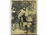Wilhelm von Gloeden, Taormina Nudo maschile e vaso, 1920 circa