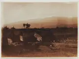 Wilhelm von Gloeden, Taormina Ponte di Calatabiano, 1911