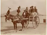 Giacomo Brogi, Palermo Carro Siciliano, 1880 circa, 1822, vintage albumen print