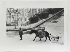 Santa Caterina Villarmosa, 1977 by Fausto Giaccone, vintage gelatine silver print on resin coated paper, offered Feb 2022