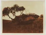 Gaetano D'Agata, Girgenti (Agrigento) Templi, 1920 circa