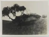 Gaetano D'Agata, Selinunte Templi, 1920 circa