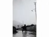 Calogero Cascio, Bagheria trasporto funebre, 1970
