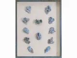 Ugo Lucerni, Fiori e Farfalla 1955, 1900, eleven painted ceramic high-reliefs laid on panel
