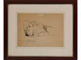 Luciano Guarnieri, Lion