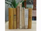 Gabriele D'Annunzio, Lotto di libri di D'Annunzio, La resurrezione del centauro (Roma