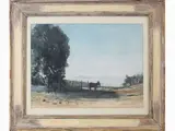 Luciano Guarnieri, Country landcape with donkey, 1930, watercolour on cardboard