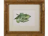 Luciano Guarnieri, Study