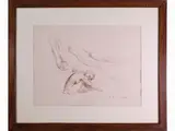 Pietro Annigoni, Studies for nude, 1910, brown ink sketch on paper