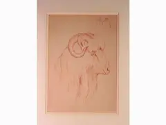 Guido Righetti, Studies for animals, 1875, three red chalk sketches on paper laid on cardboard