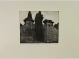 Celestini Celestino, Via dei Serragli a Firenze, 1882, later engraving
