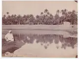 Alexandre Leroux, Algerie, Oasis de Biskra 1890, 1836, Albumen print from glass plate
