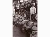 Alberto Roveri, Il Pò inquinato dal greggio 1980, vintage gelatin-silver print on resin-coated paper