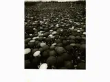 Mario De Biasi, Folla a Fatima 1967, 1923, vintage gelatin-silver print on baryta paper print
